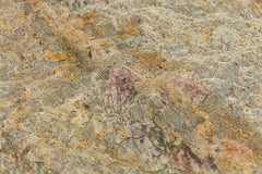 Natural Flexible Stone Veneer